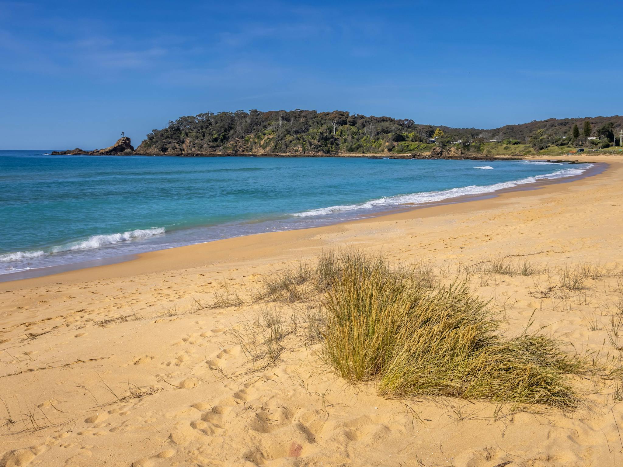 Cuttagee Beach, Bermagui, Sapphire Coast, South Coast NSW, swimming, surfing, beachesCuttagee Beach,