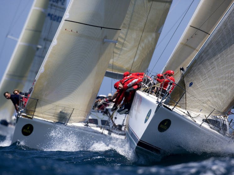 Rolex Yacht Race Sydney Harbour