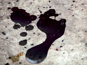 Wine Footprint