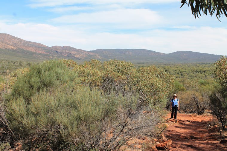 5 Day Flinders Ranges and Arkaroola scheduled Tour