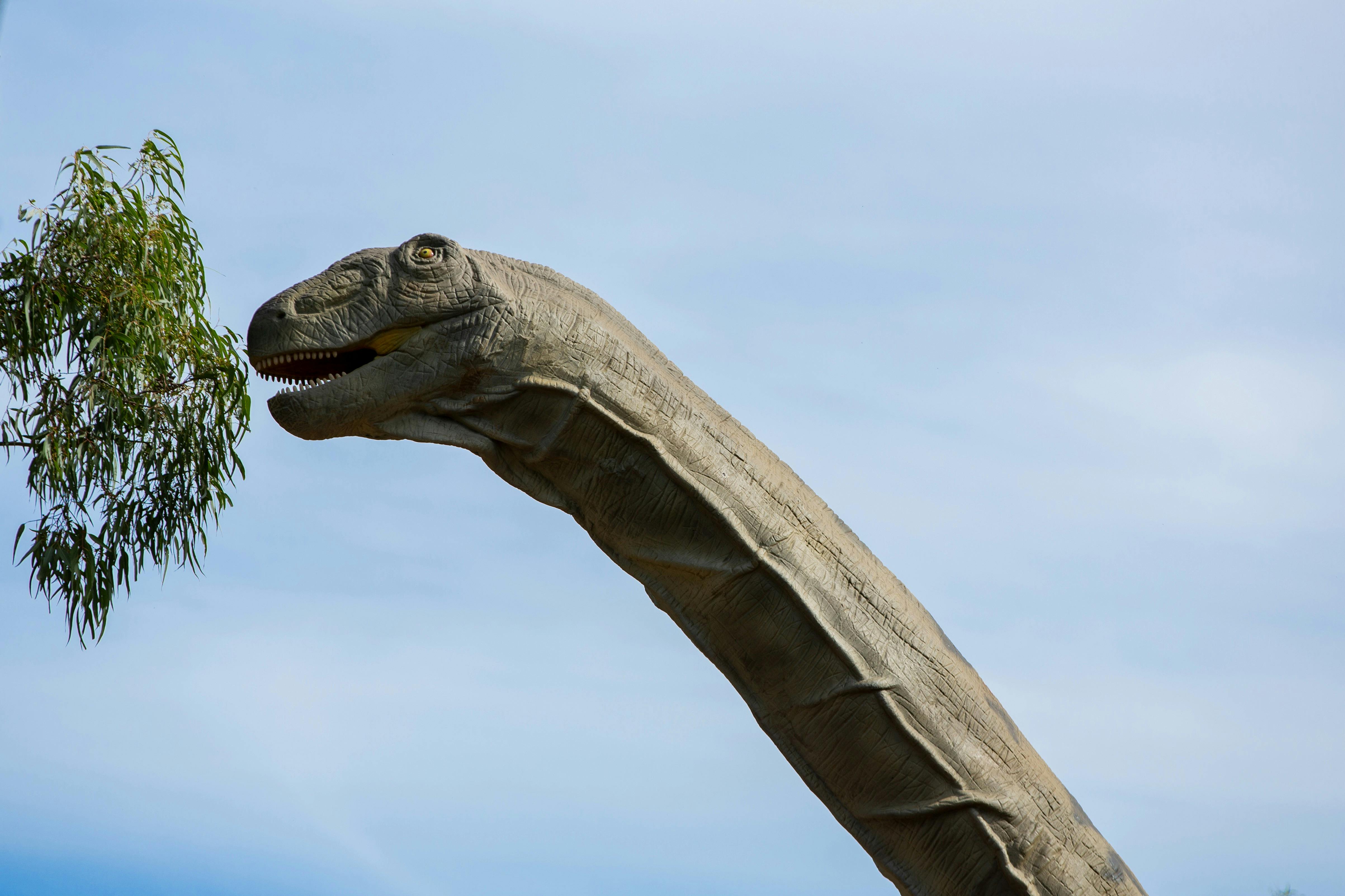 Dinos at the Zoo - Werribee Open Range Zoo