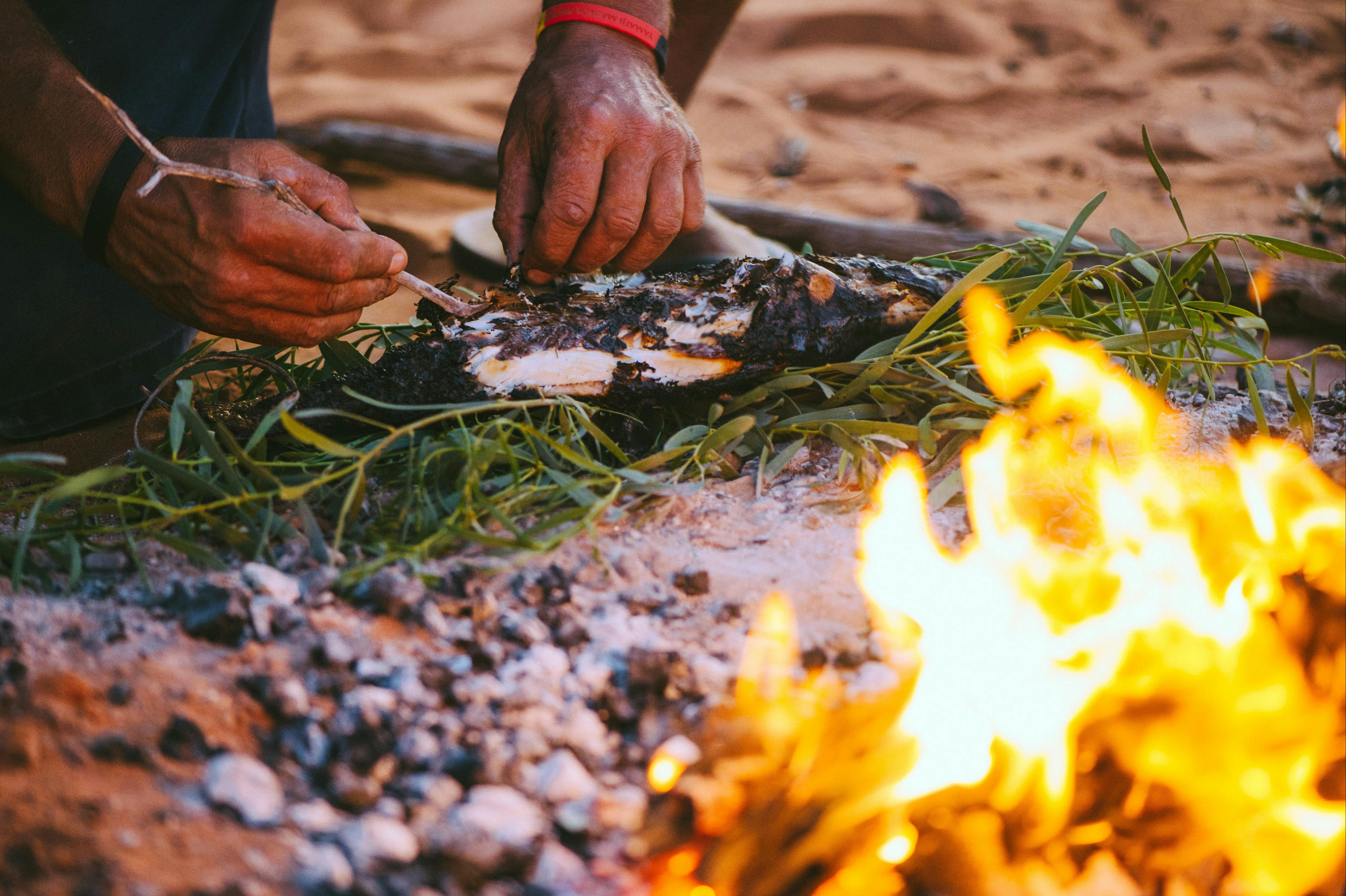 Wula Gura Nyinda Eco Cultural Adventures, Denham, Western Australia