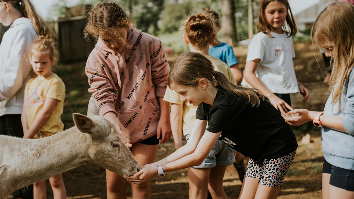 Free with your stay! Join us every day in the animal sanctuary
