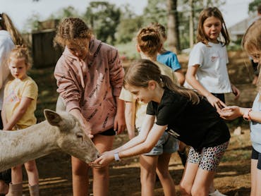 Free with your stay! Join us every day in the animal sanctuary