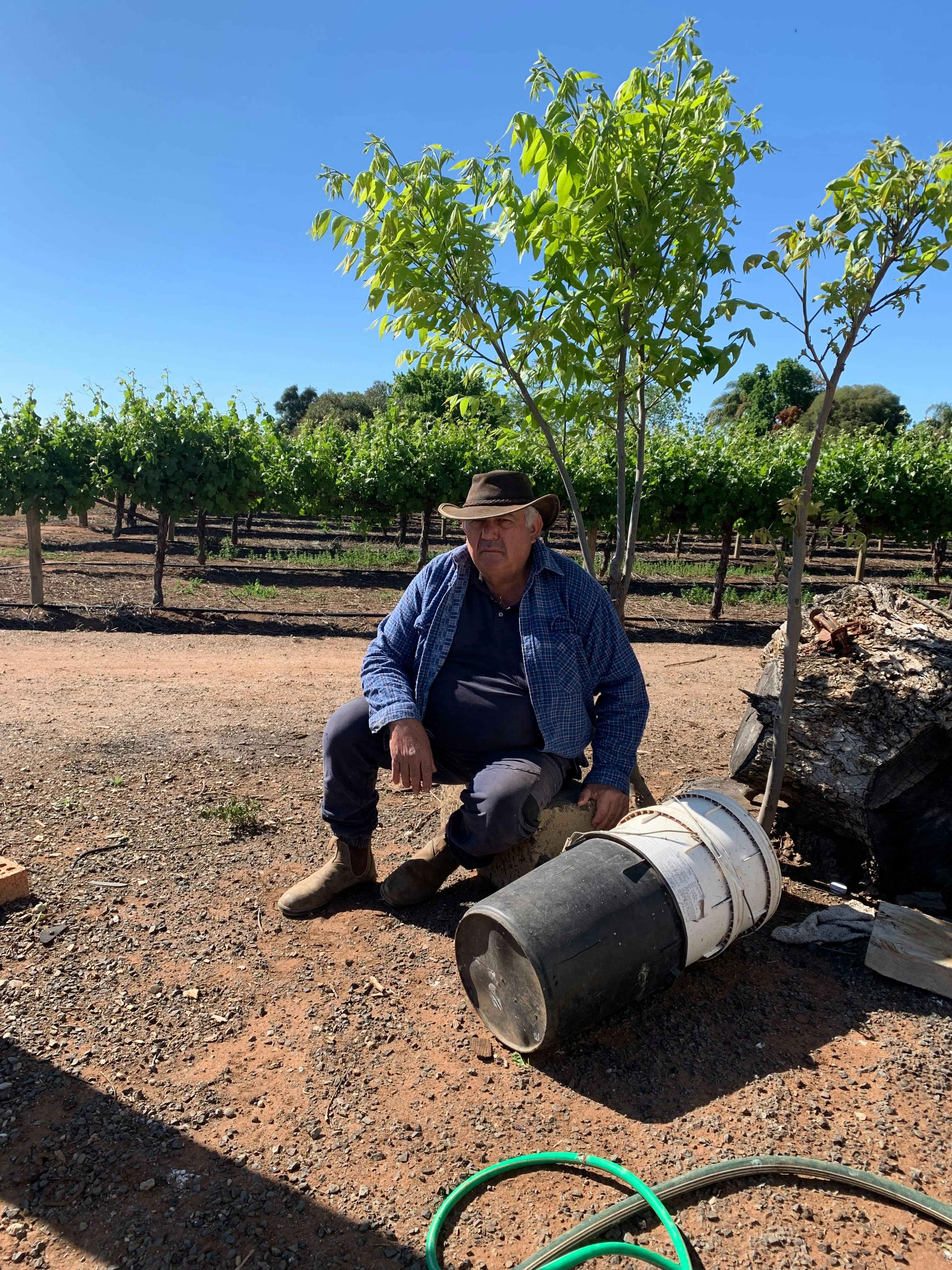 Enjoying the afternoon sun