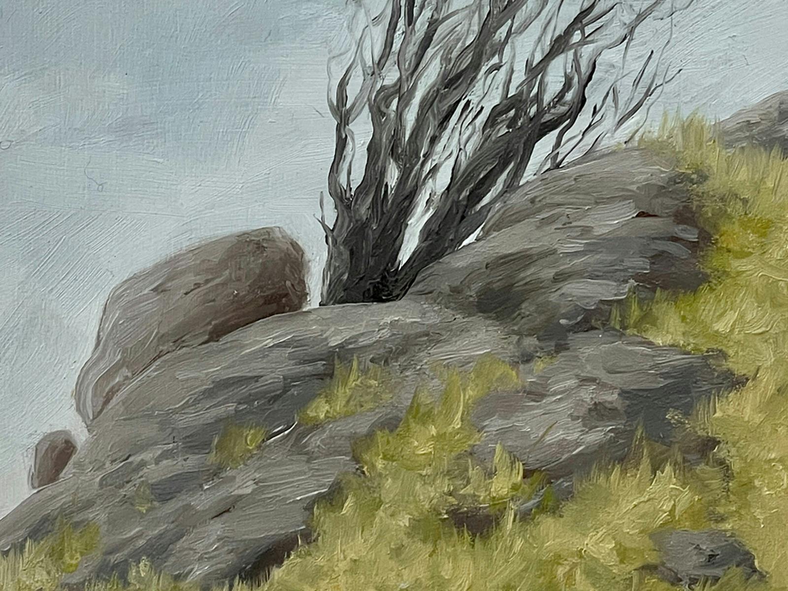 Oil painting of weathered tree, no leaves, on side of hill, leaning and surrounded by rocks