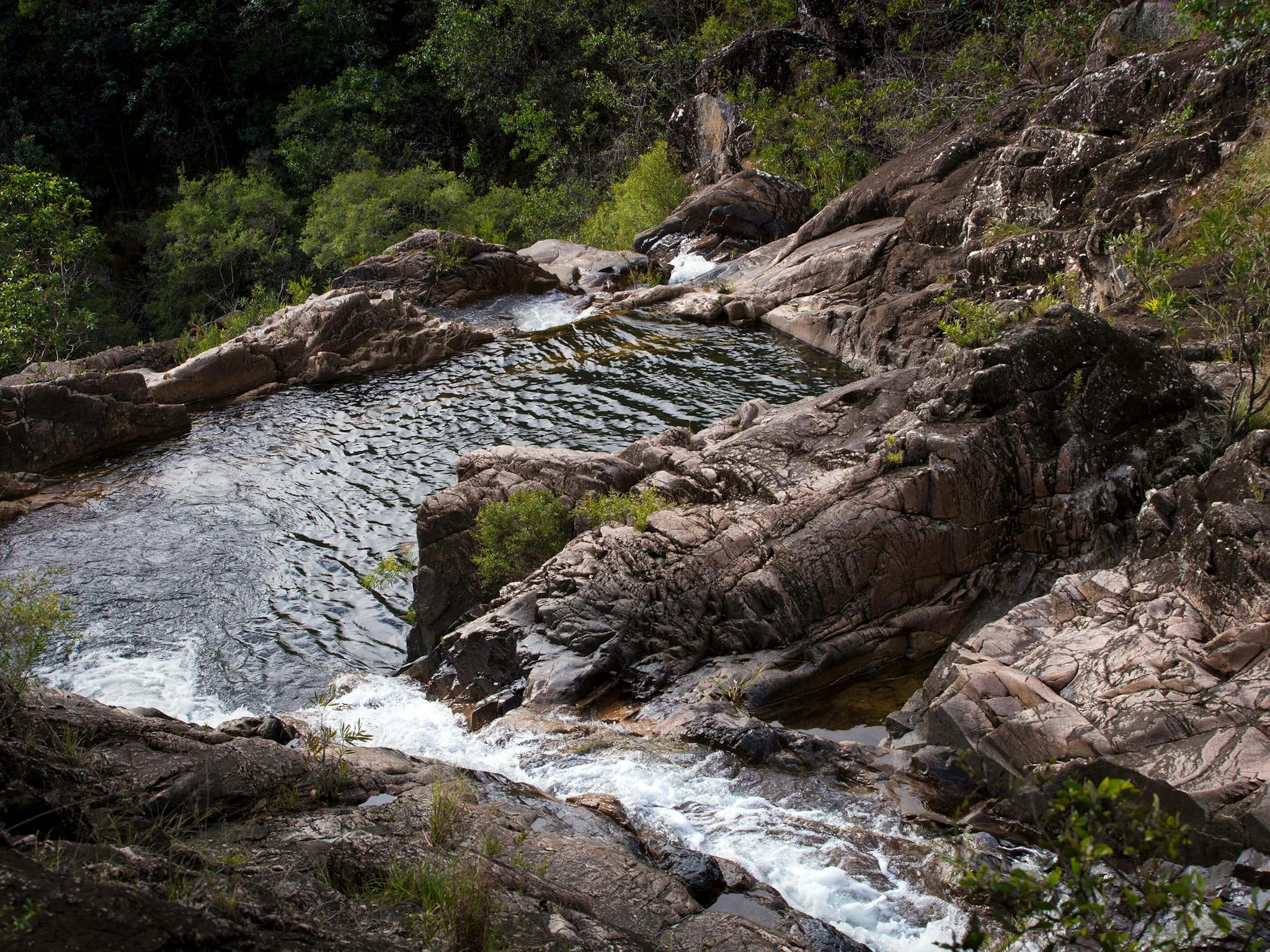 Halls Falls, Herberton Range Conservation Park Halls Falls, Herberton Range Conservation Park