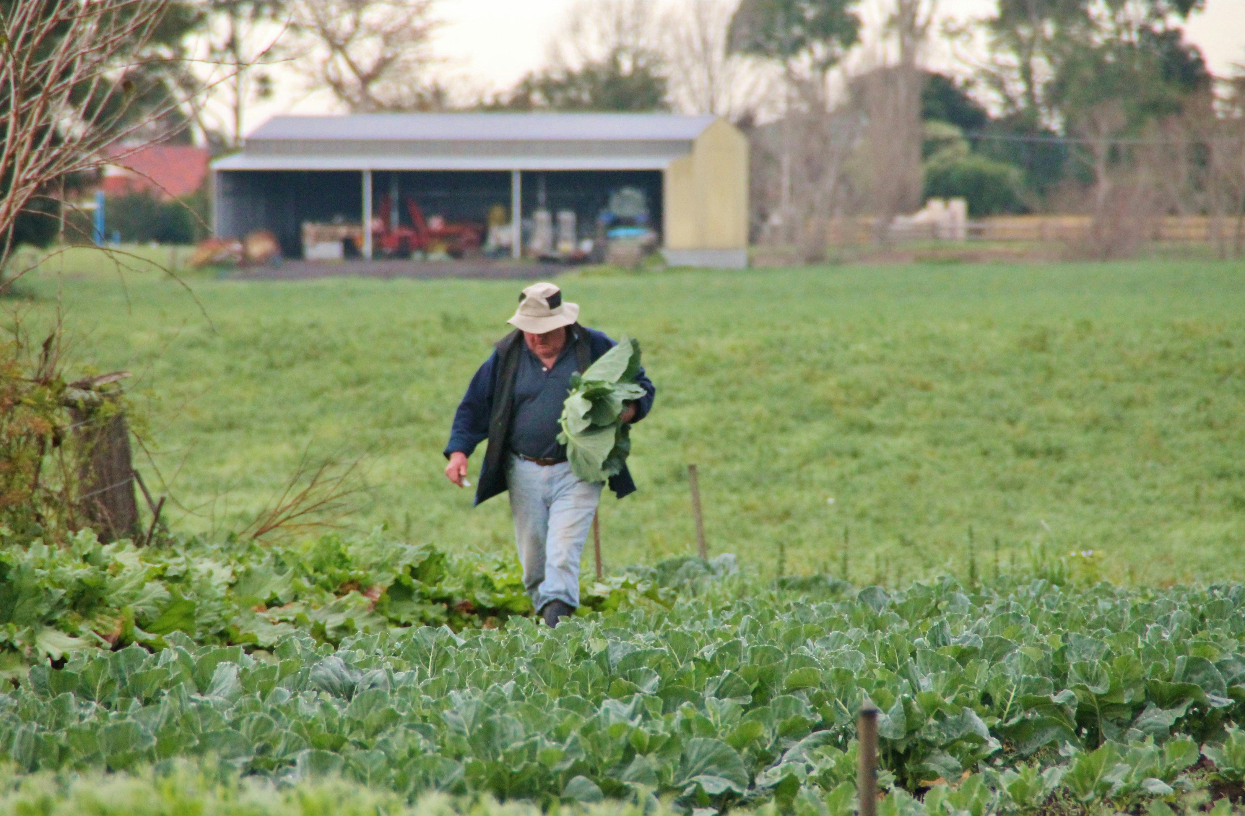Farm fresh produce from local growers.