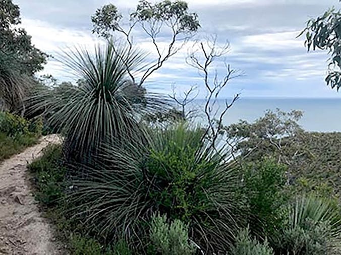 5 day Wild South Coast Way Adventure