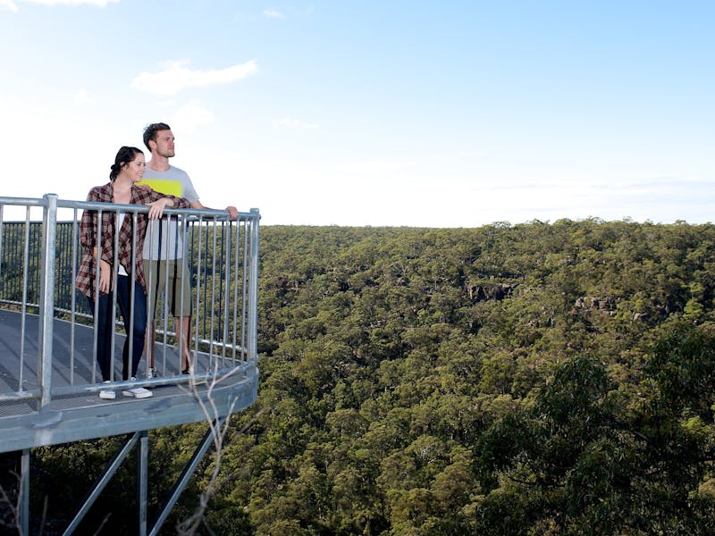 Image for Dharawal Guided Indigenous Walking Tours - O'Hare's Lookout Trail