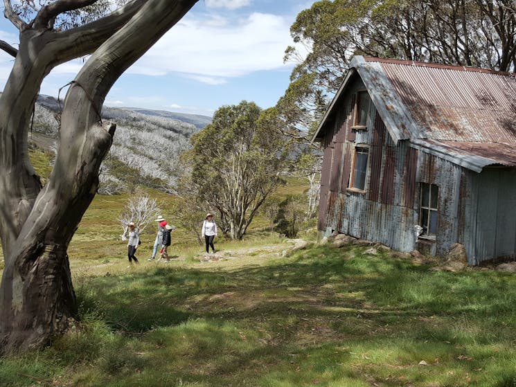 Walkers exiting the Cope Hut surrounded by snowgums overlooking the Bogong High Plains