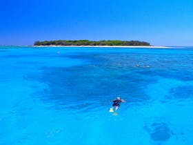 Lady Musgrave Island - Barrier Reef