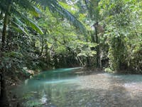 Enjoy a refreshing swim in a pristine Rainforest Creek