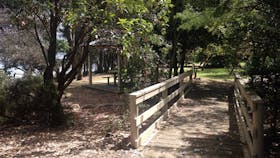 Sensory Gardens