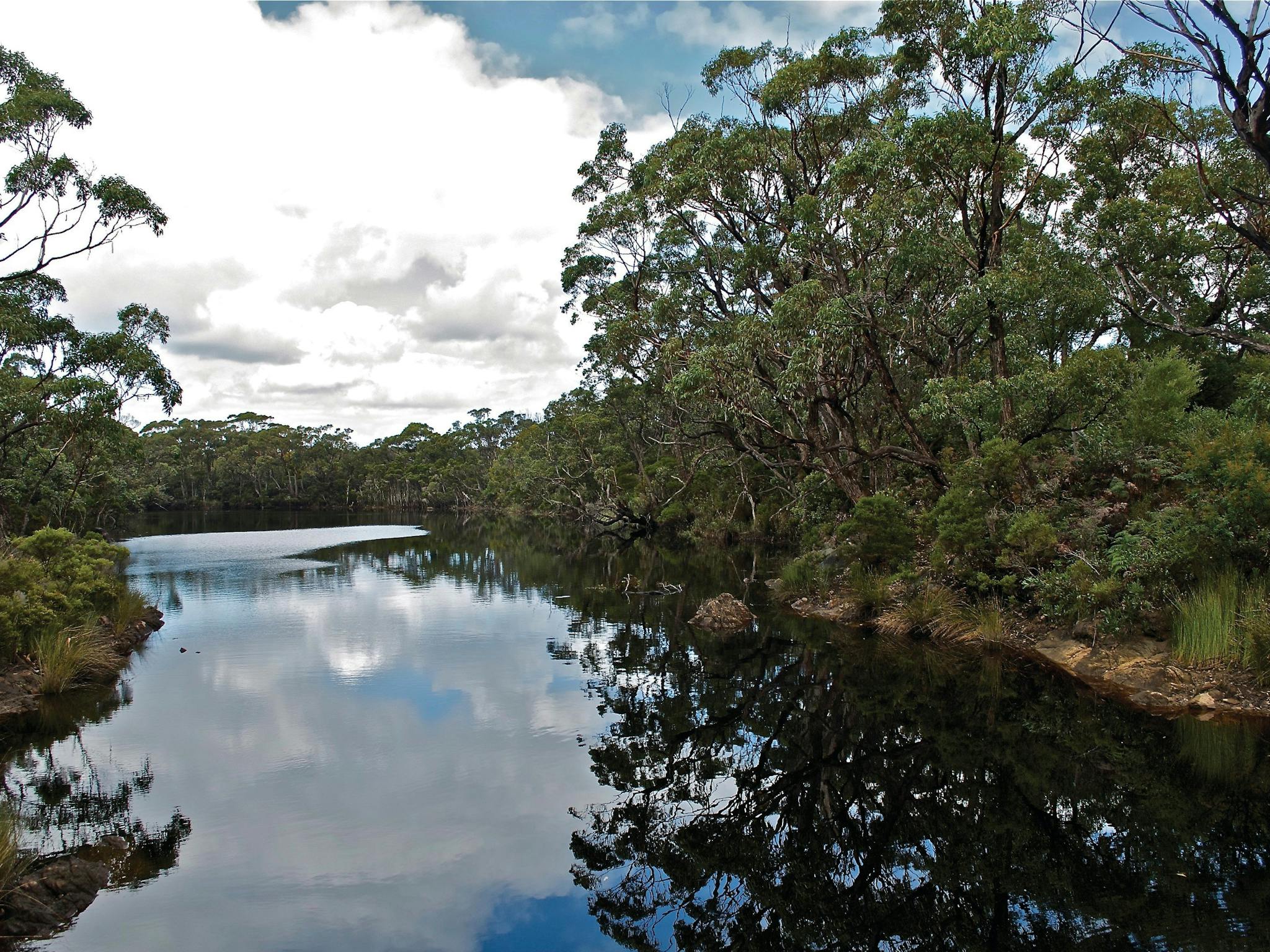 Cape Conran Coastal Park