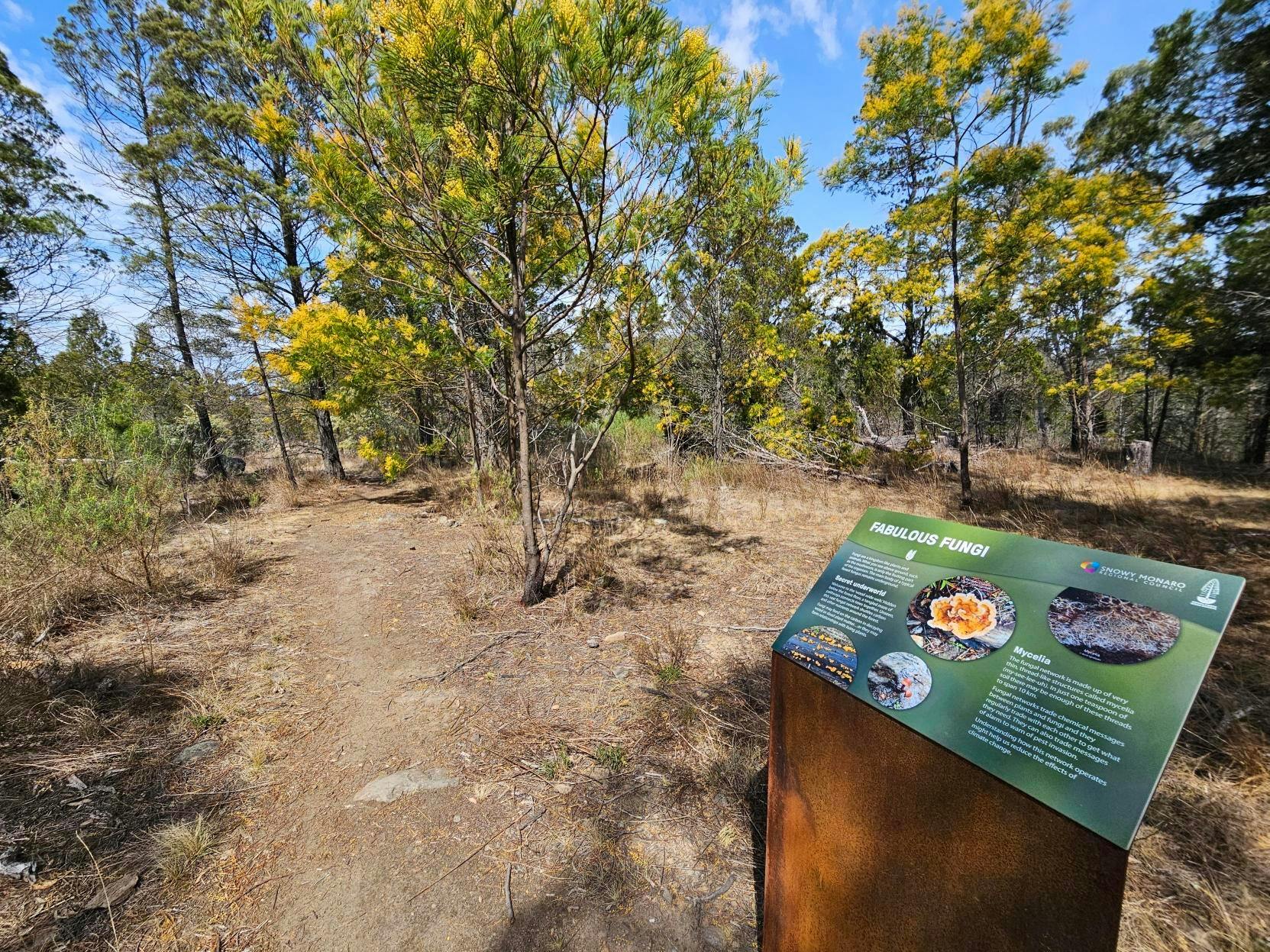 Cooma North Ridge Reserve