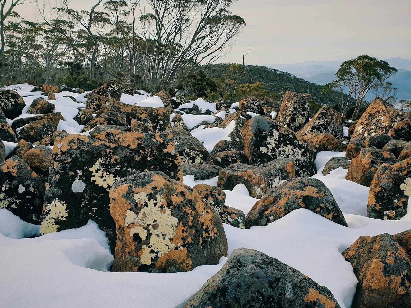 Snow, Hobart, kunanyi, mt wellington, hobart, tasmania, walk, hike