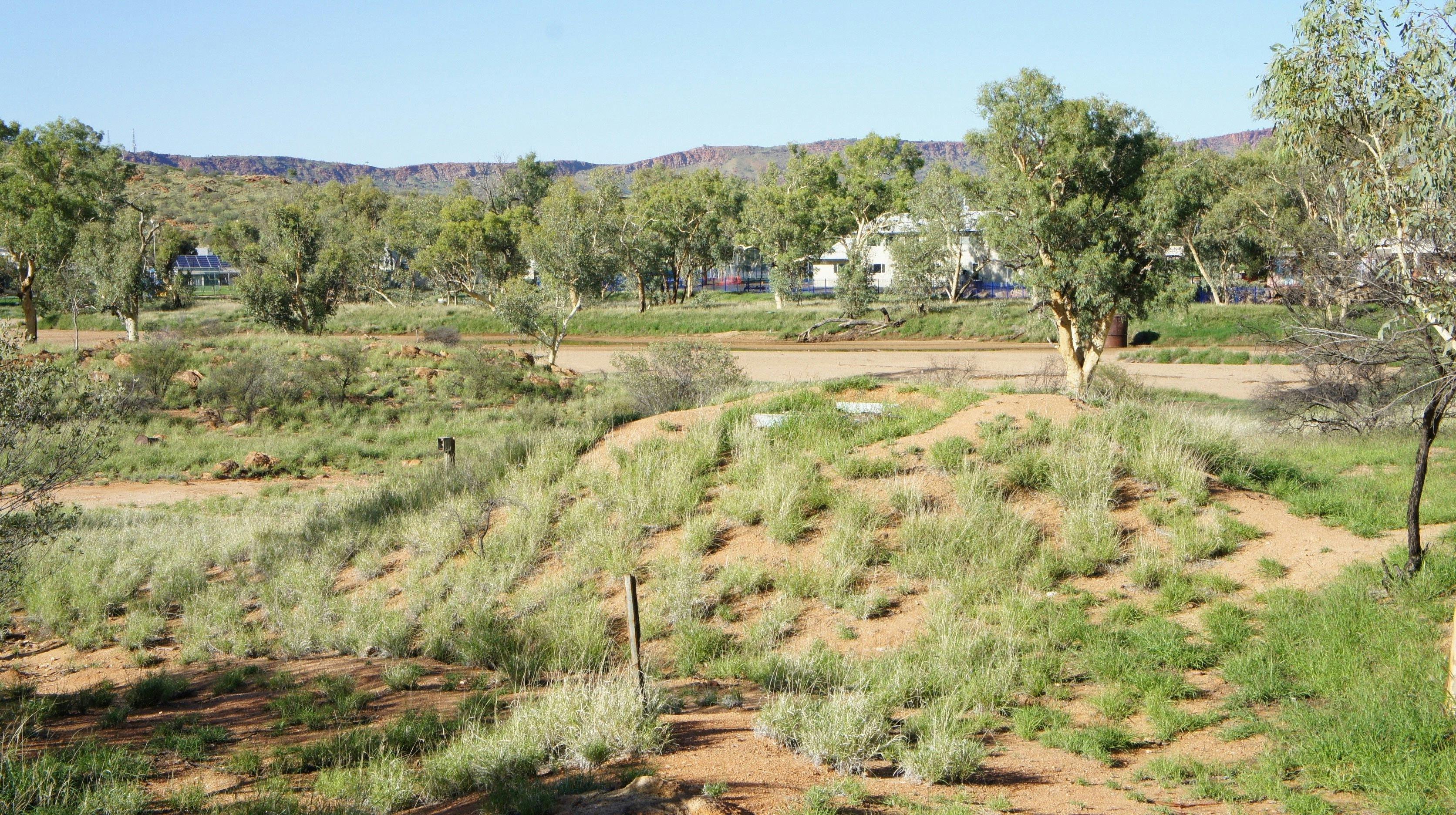 Seismic Vault Alice Springs