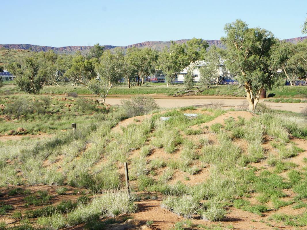 General view of man-made dirt mound in which the seismic vault is located
