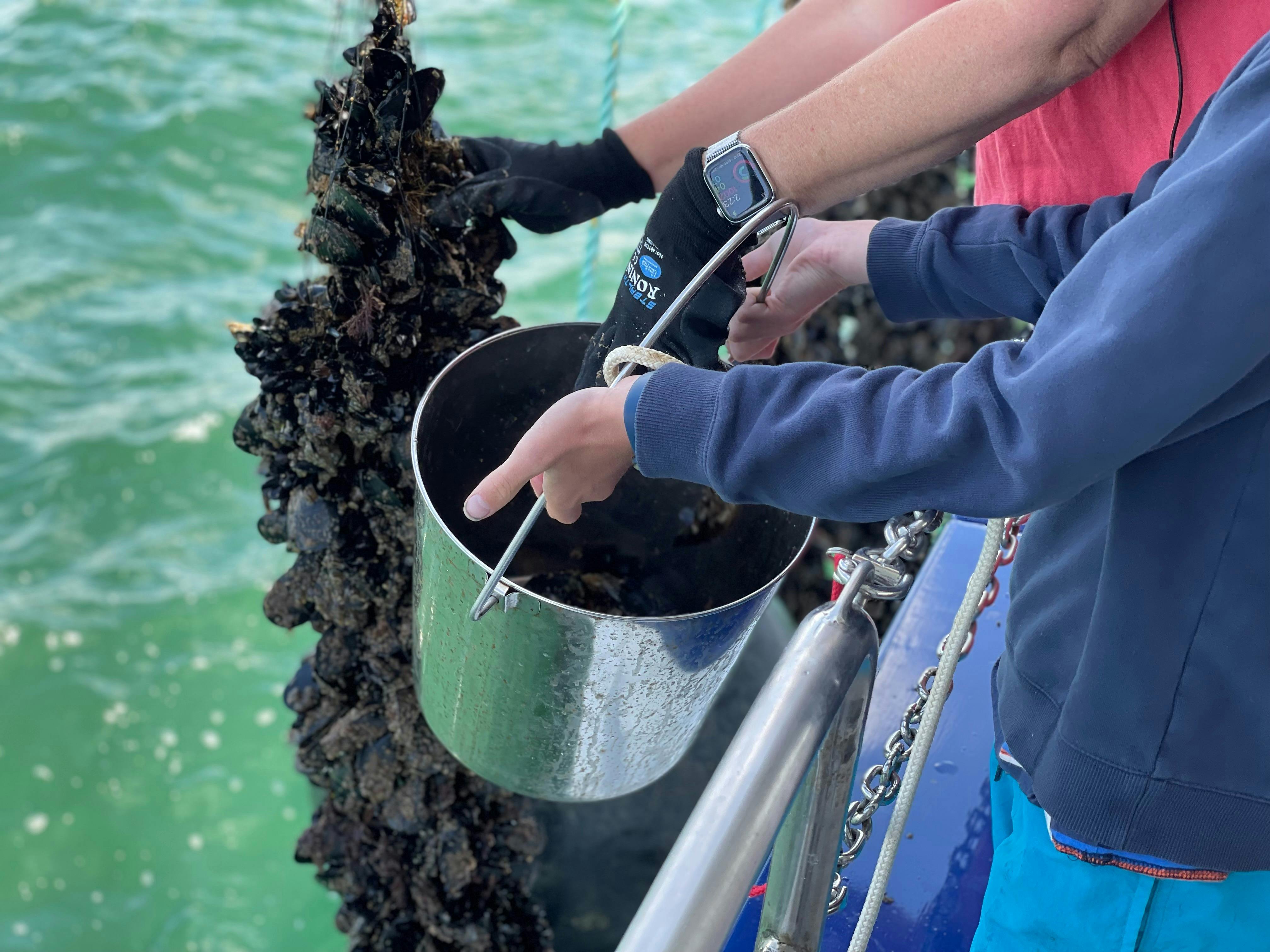 Set on the Bellarine Peninsula, just a short ferry ride away from Melbourne to Portarlington. A cura