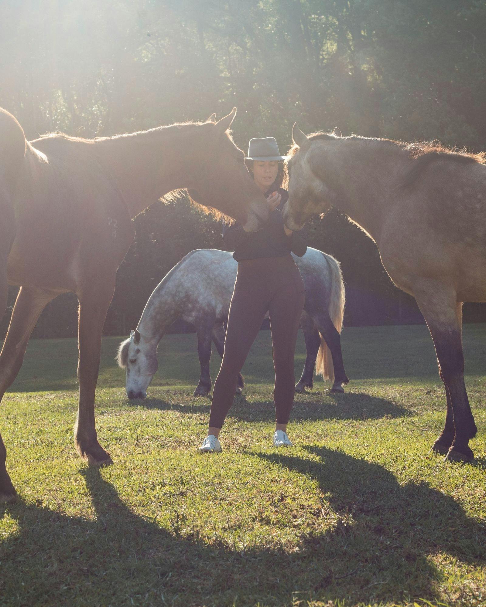 家族向け農場訪問