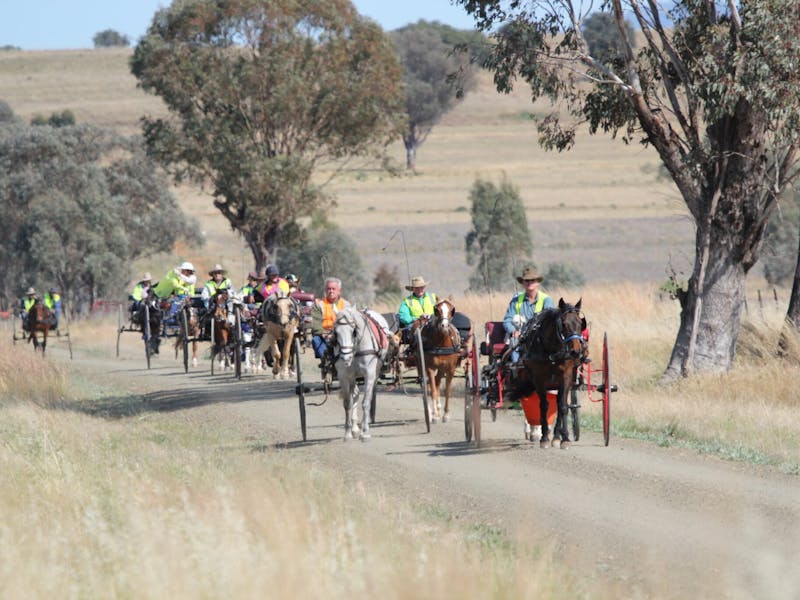 Image for The Ruffy Mini Enduro and Carriage Drives - The Dash for Ned Kelly's Green Sash