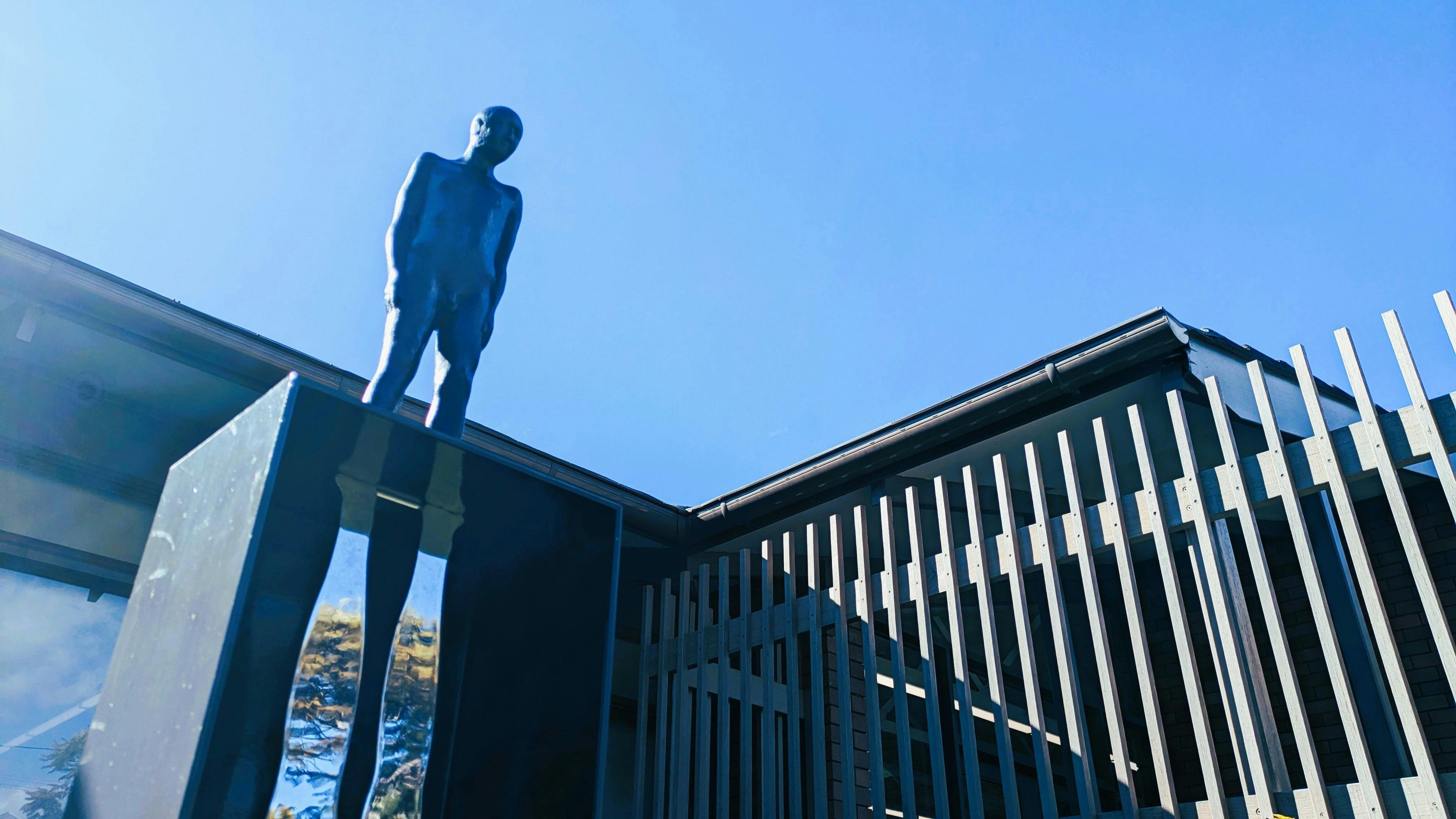 The Theatre of the Shadow