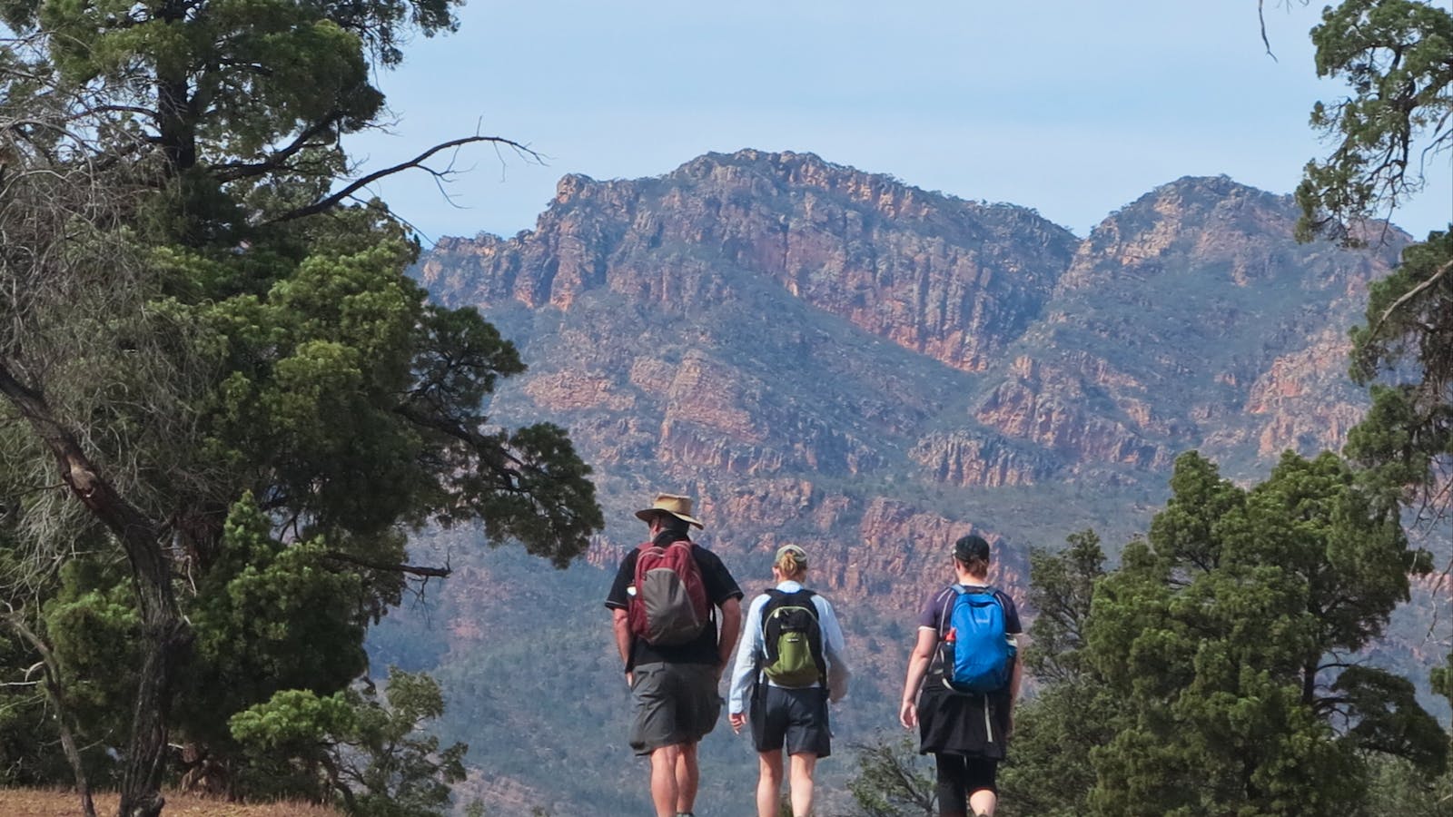 Rawnsley Park Station Discovery 4WD & Walking Tours