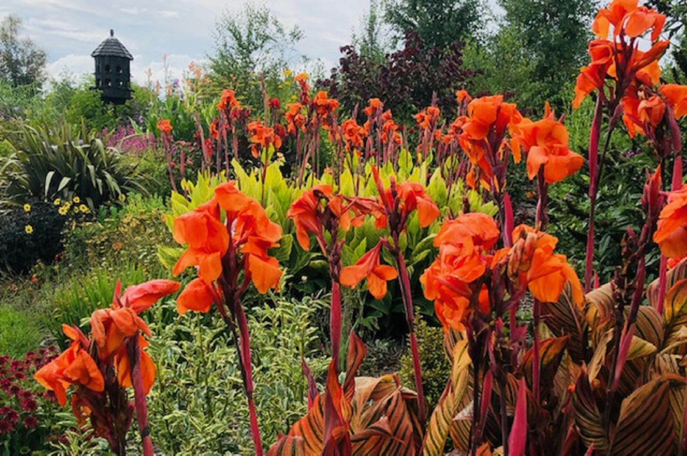 the long border is a part of garden that is full of seasonal colour from spring till autumn.