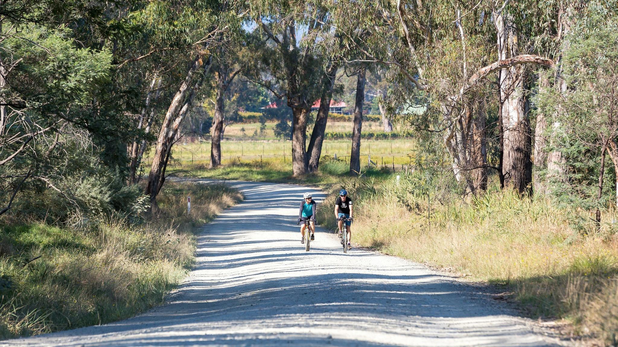 Two cyclists riding on gravel road, vegetation and trees on side of road, farmland and farm houses i