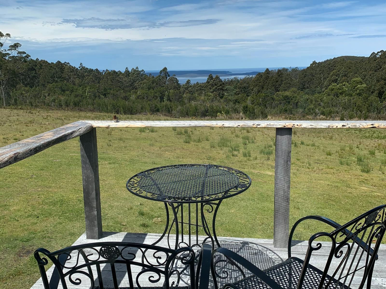 view