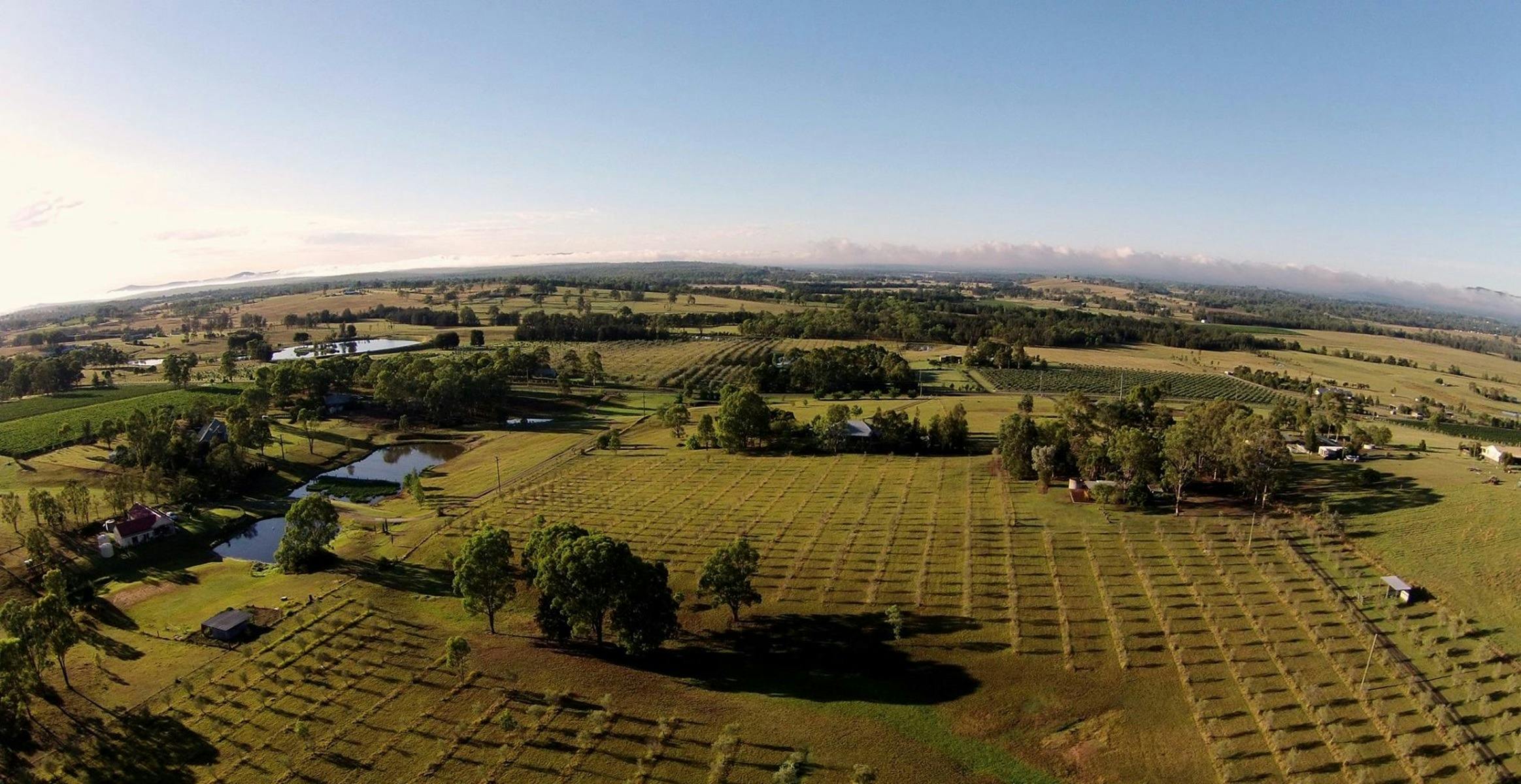 ハンターホームステッド