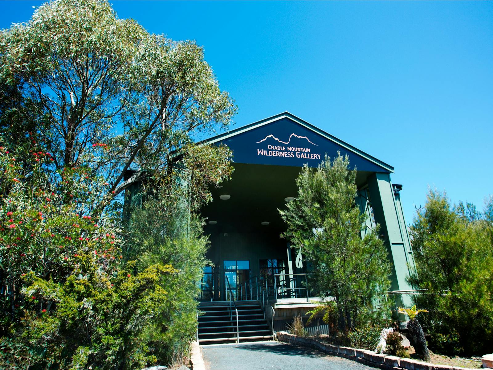 Cradle Mountain Wilderness Gallery