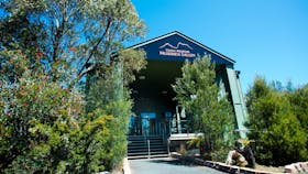 Cradle Mountain Wilderness Gallery