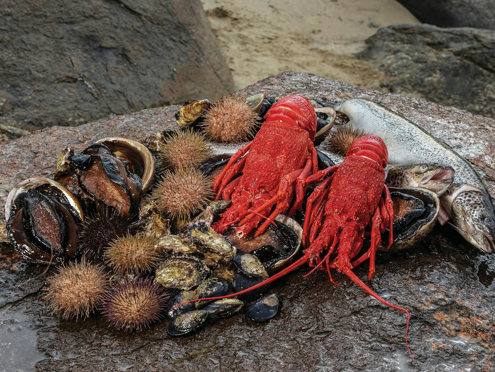 Tasmanian Seafood Seduction