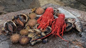 Tasmanian Seafood Seduction
