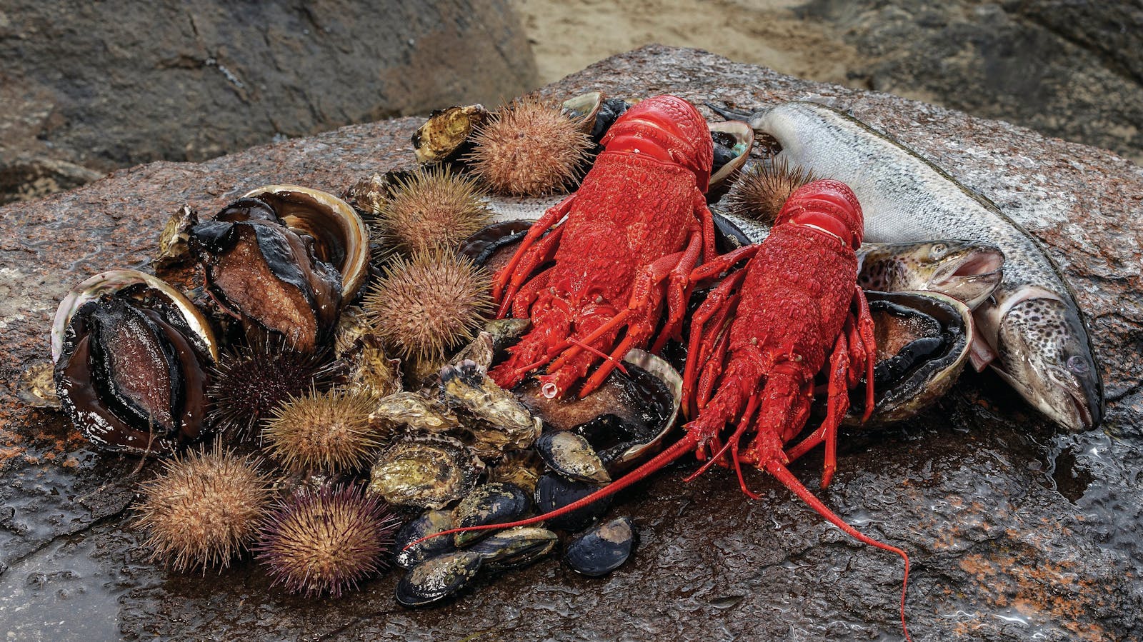 Tasmanian Seafood Seduction