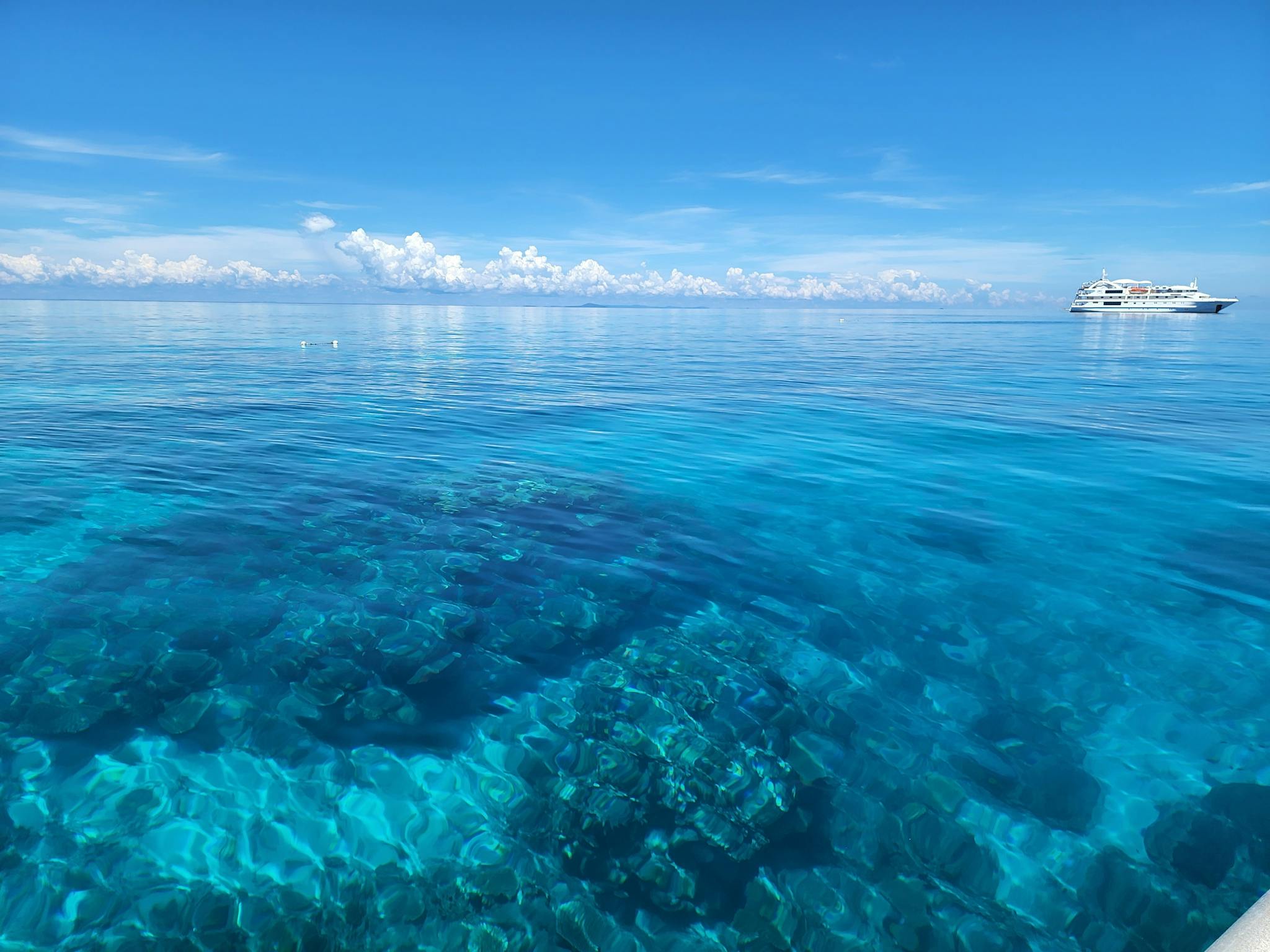 Coral Expeditions, Ribbon Reef 10, Great Barrier Reef Coral Expeditions, Ribbon Reef 10, Great Barrier Reef