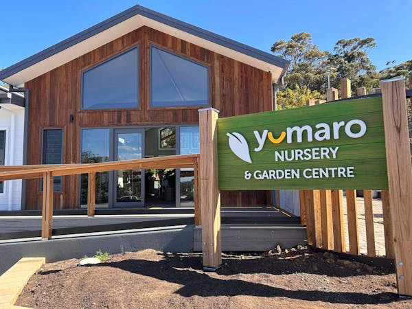 Yumaro Nursery & Cafe