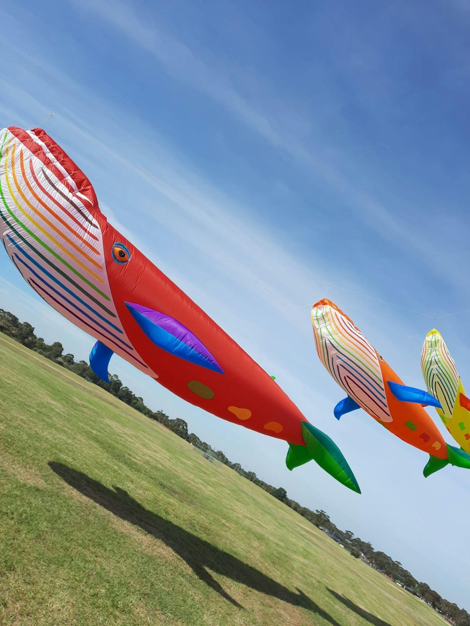 whale shaped kites