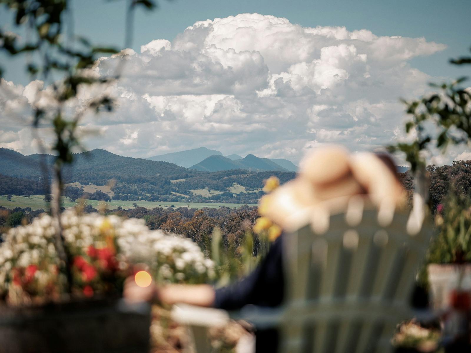 Red Feet Wines, King Valley