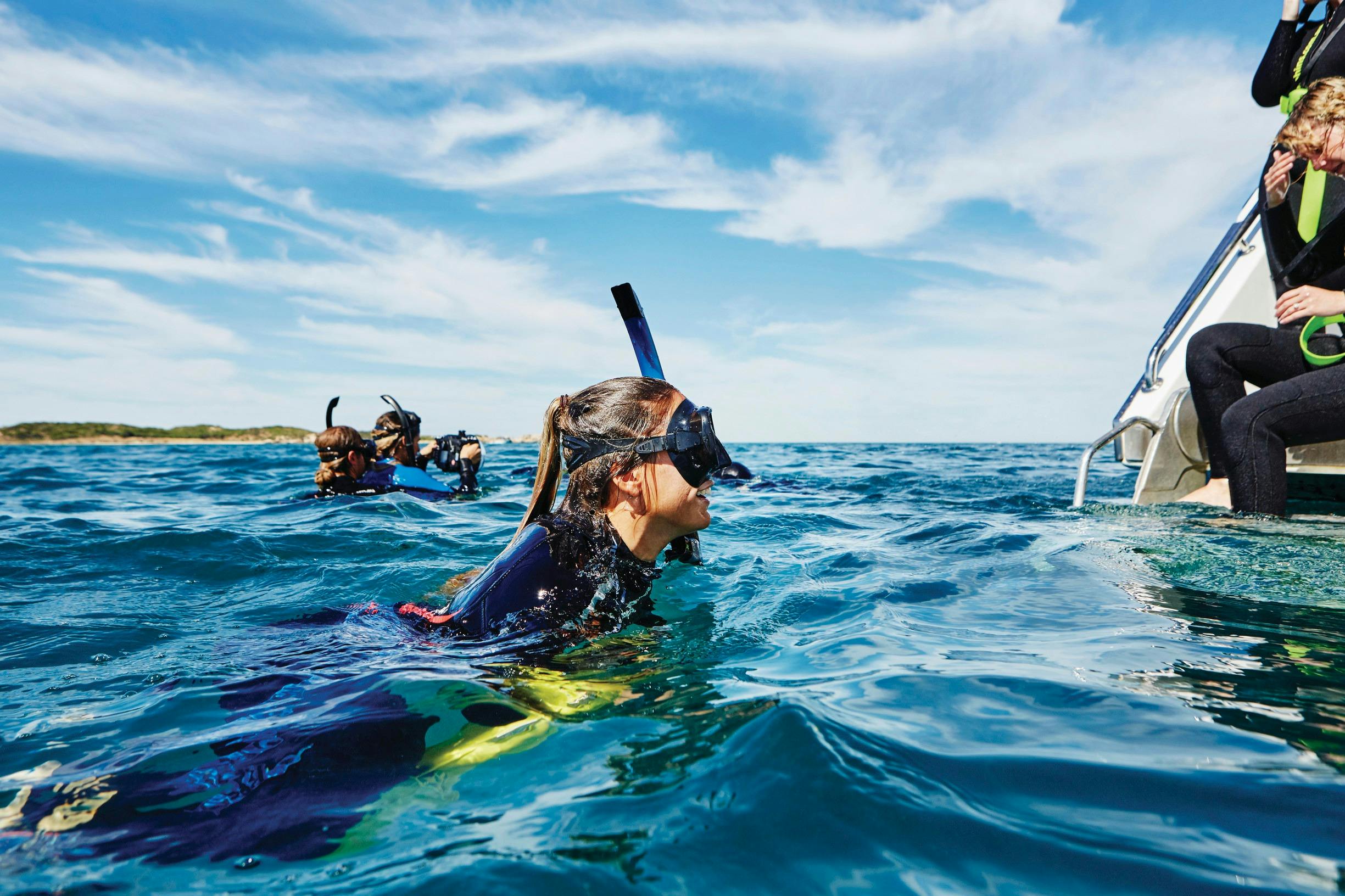 Swimming with wild dolphins, Rockingham, Western Australia