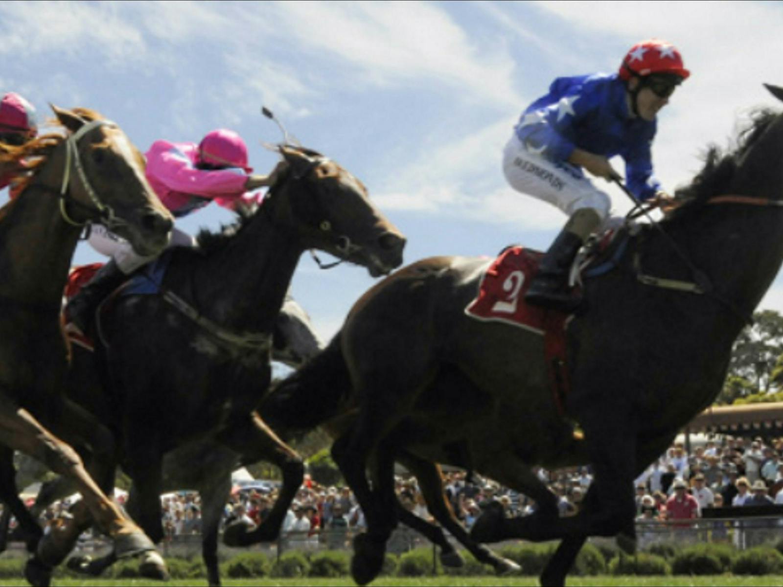 Image for Moruya Cup Day January