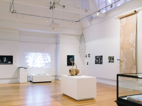 Vines and Caves - Exploring the Valley 50 a46ada56cad001b7e435cecf3552dd8c