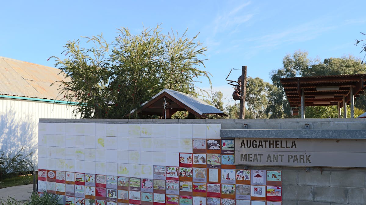 Meat Ant Park