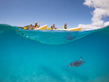 Cape Byron Kayaks 劃艇公司