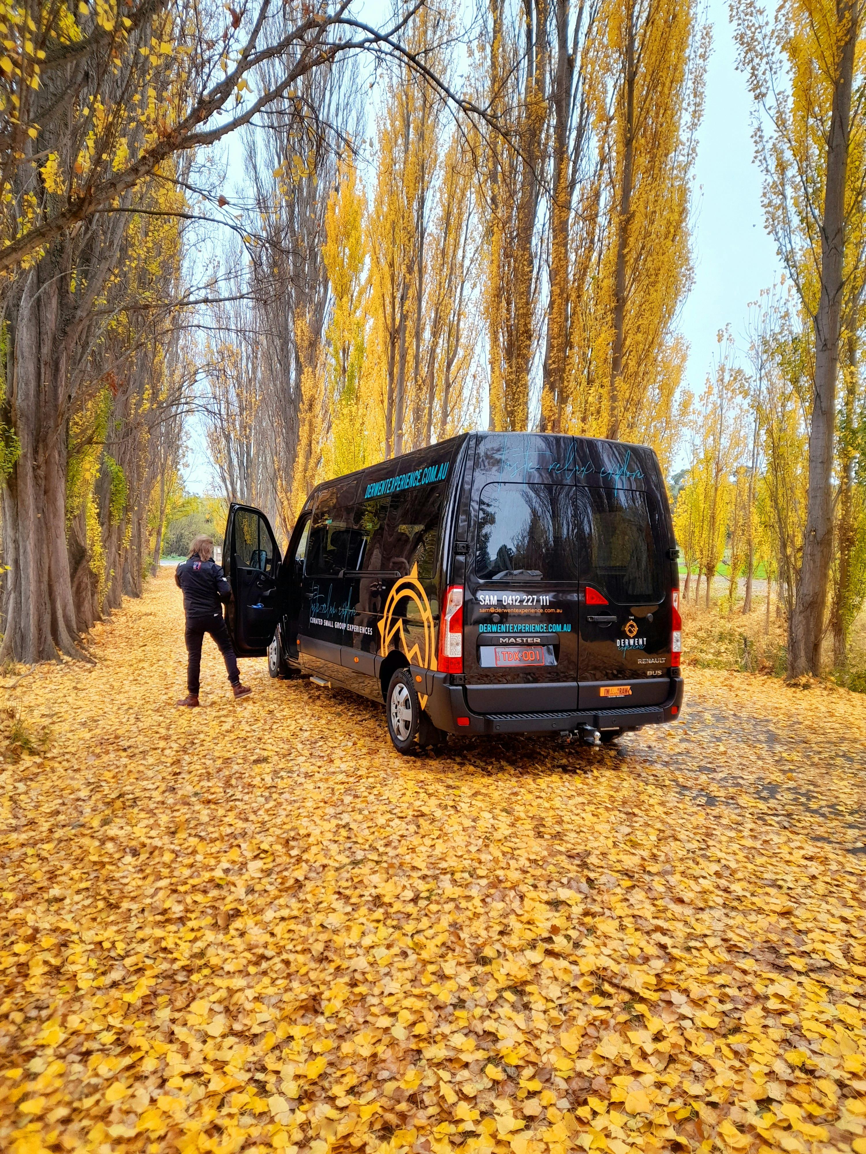 In April and May the Derwent Valley turns gold