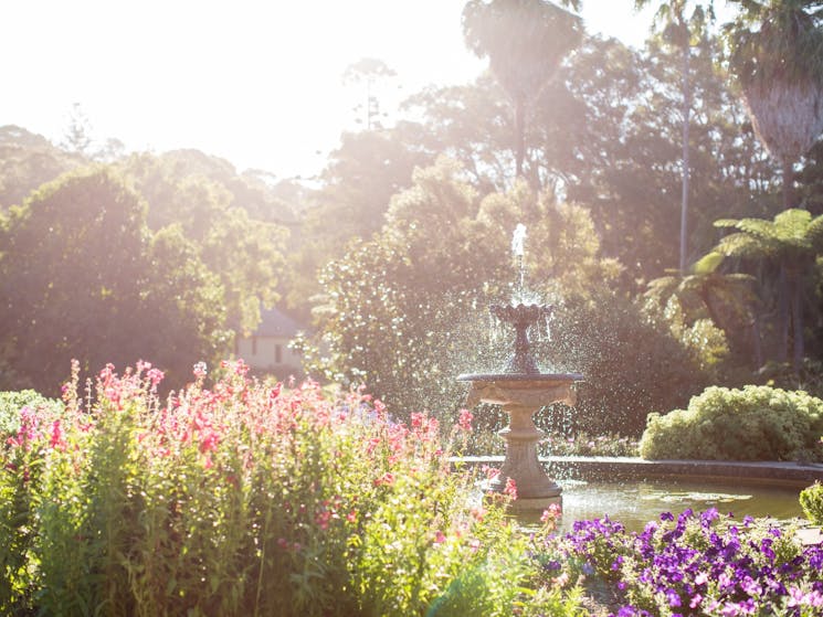 Pleasure garden and fountain at Vaucluse House