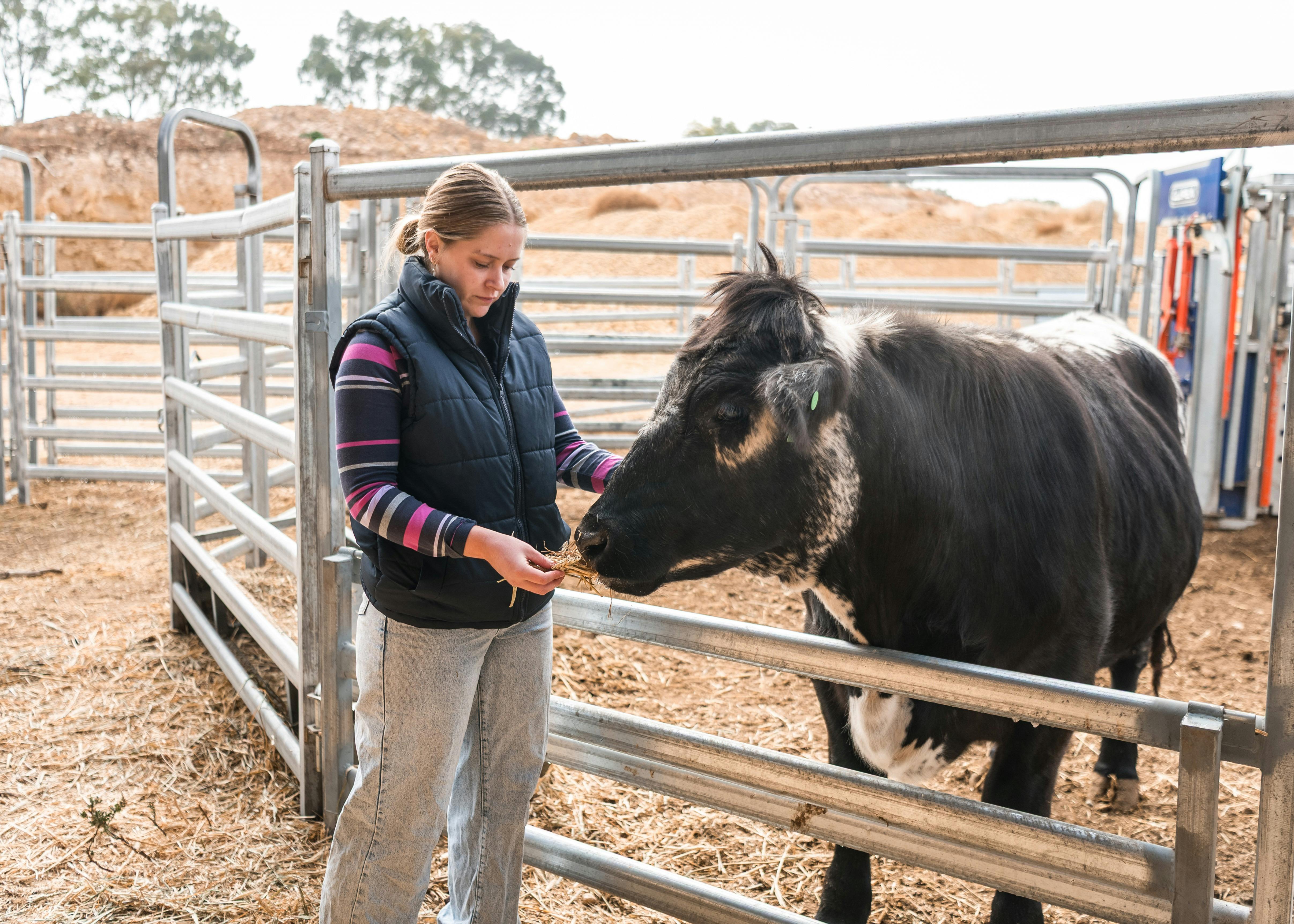 Elvis Encounters for all ages