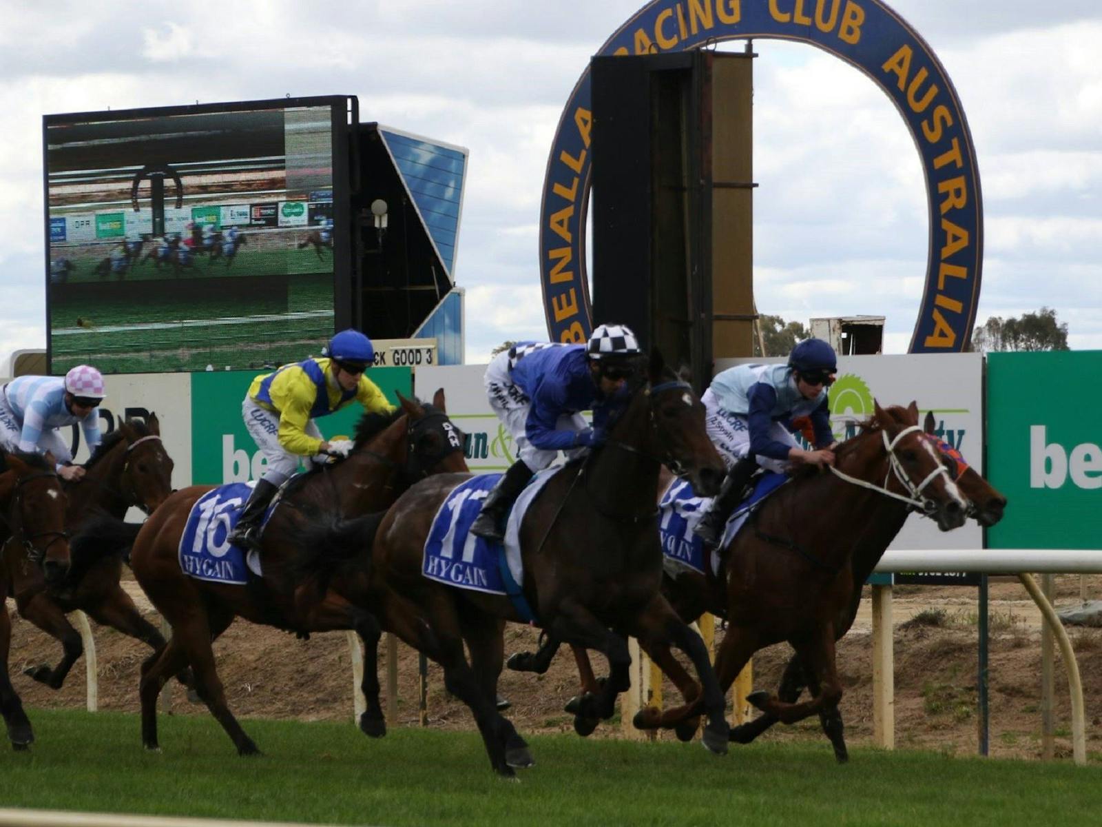 Image for bet365 Benalla Gold Cup